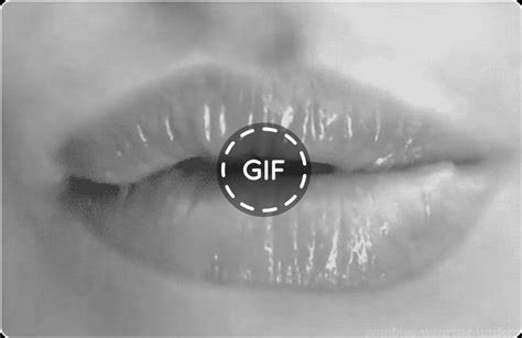 gif sexual|Gif Porno: Le Migliori Gif di Sesso E NSFW Gratis 